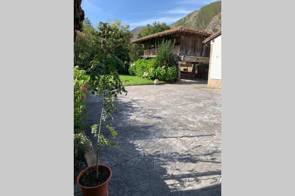 Caño Casa Carmen Respira Asturias, Respira Naturaleza. מראה חיצוני תמונה